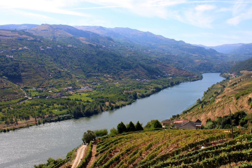 Camping Lamego Douro Valley Hotel Exterior foto