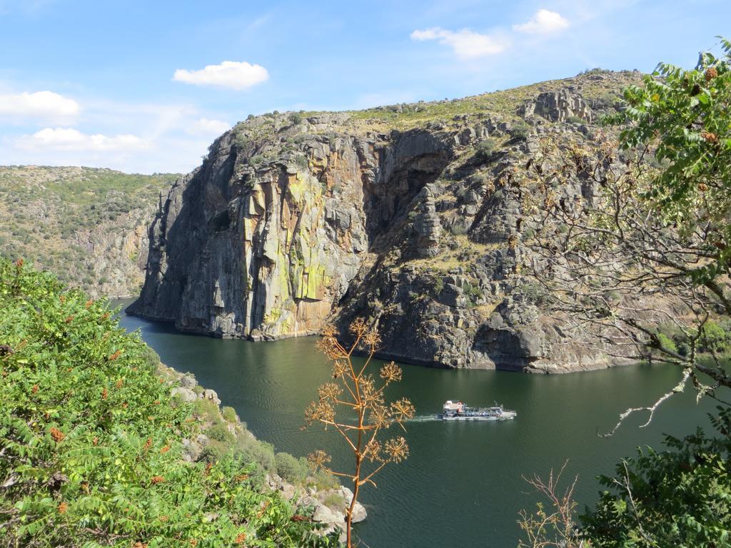 Camping Lamego Douro Valley Hotel Exterior foto