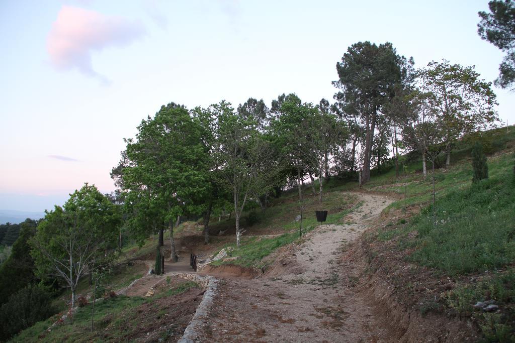 Camping Lamego Douro Valley Hotel Exterior foto