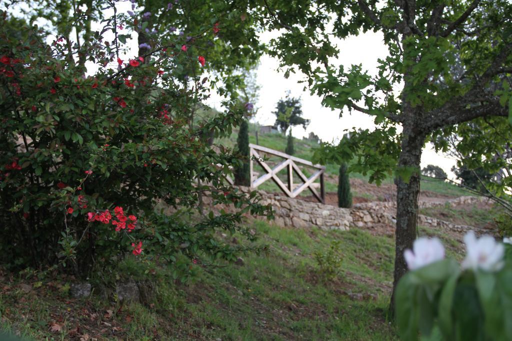 Camping Lamego Douro Valley Hotel Exterior foto