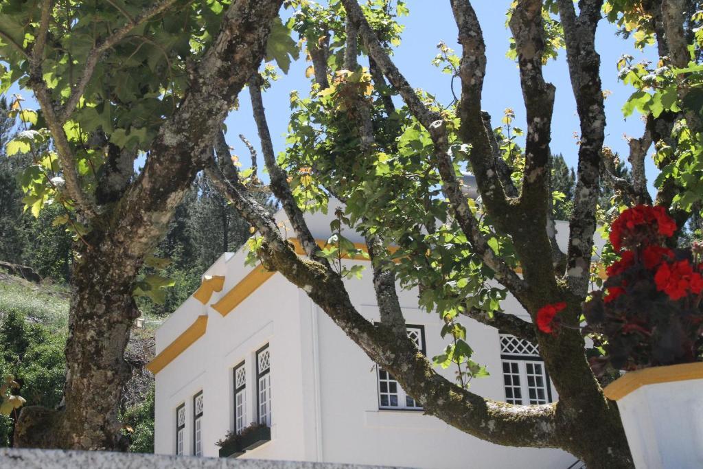 Camping Lamego Douro Valley Hotel Exterior foto